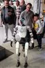 SIAMS2026 - Exposants-19